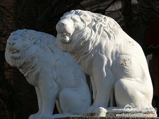 001GbblGzy6HHVmnIpHb1&690.jpg